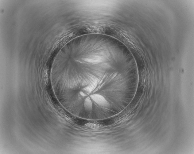 X0000086970699200704231516