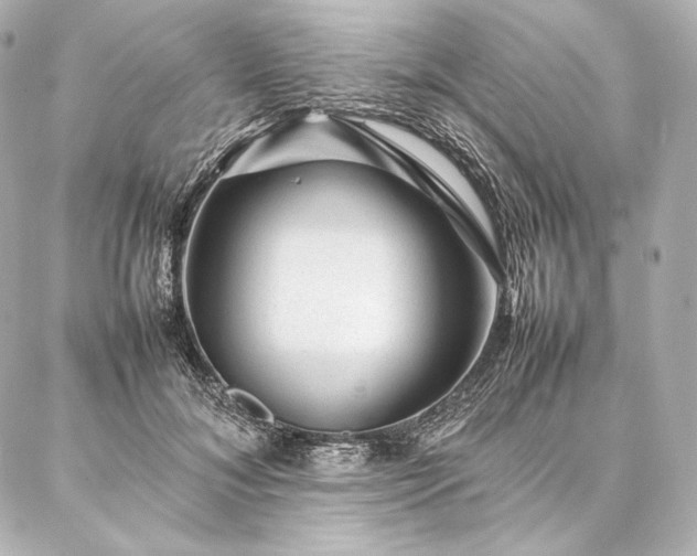 X0000086970700200704231516