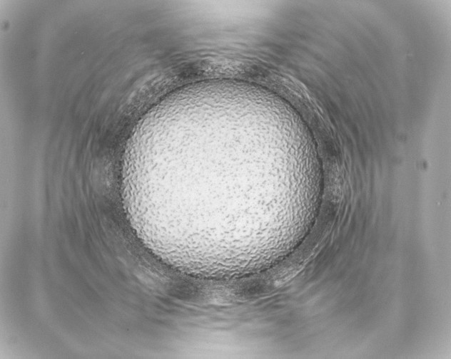 X0000086970701200704231516