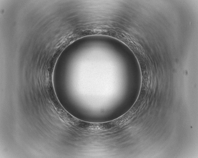 X0000086970704200704231516