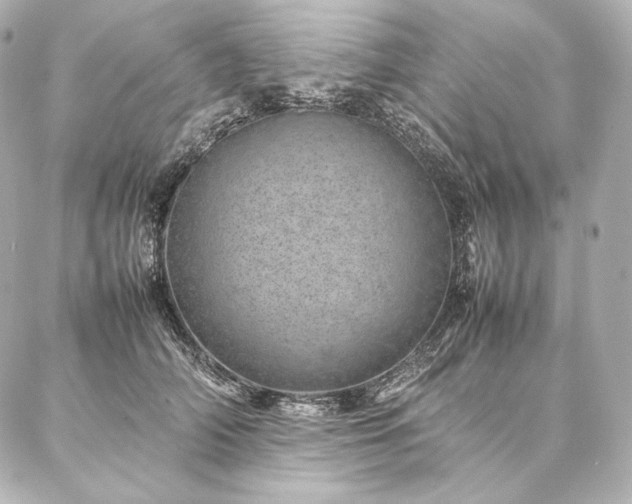 X0000086970706200704231516