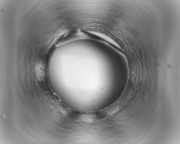 X0000086970708200704231516