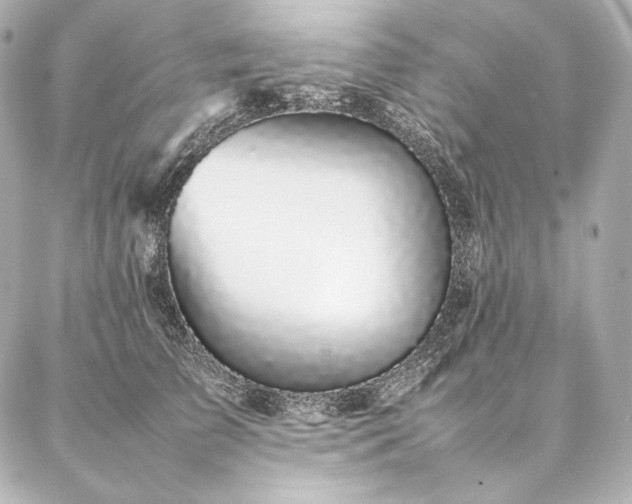 X0000086970709200704231515