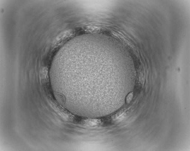 X0000086970711200704231515