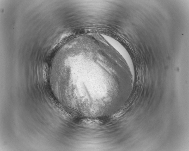 X0000086970712200704231515