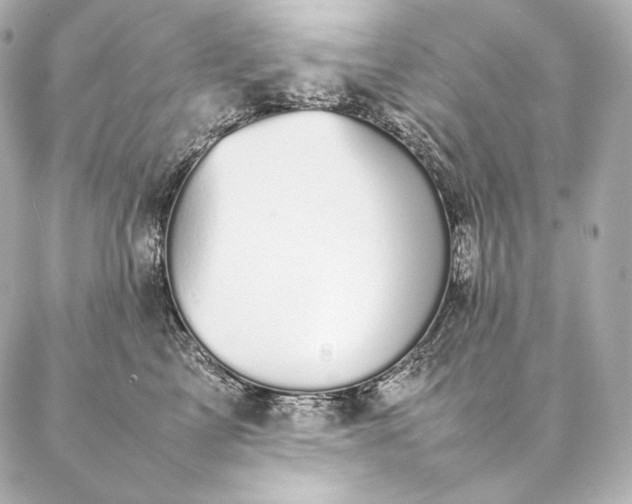 X0000086970713200704231515