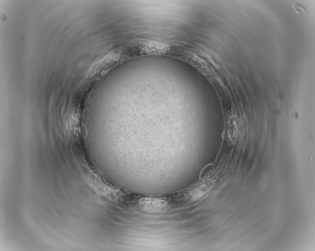 X0000086970714200704231515