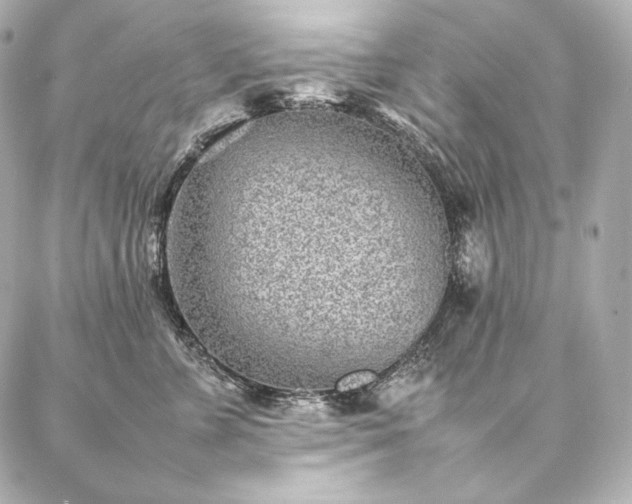 X0000086970715200704231515