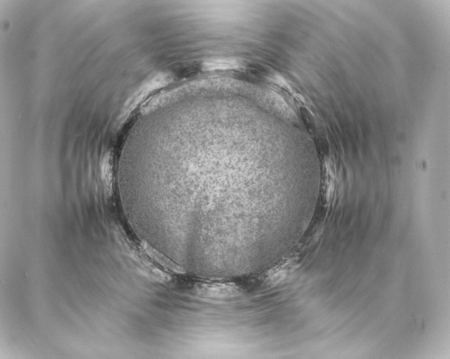 X0000086970716200704231515