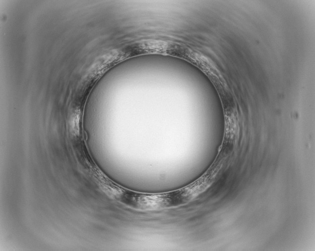 X0000086970717200704231515