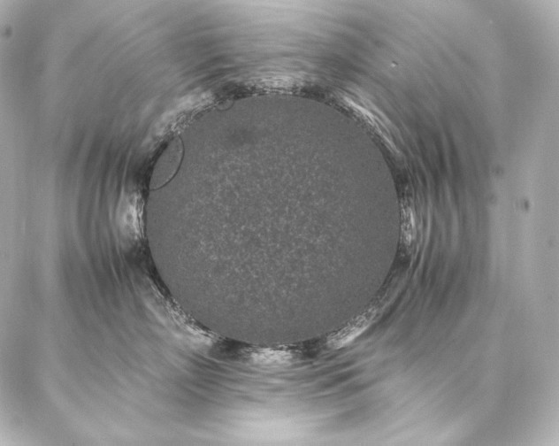 X0000086970718200704231515