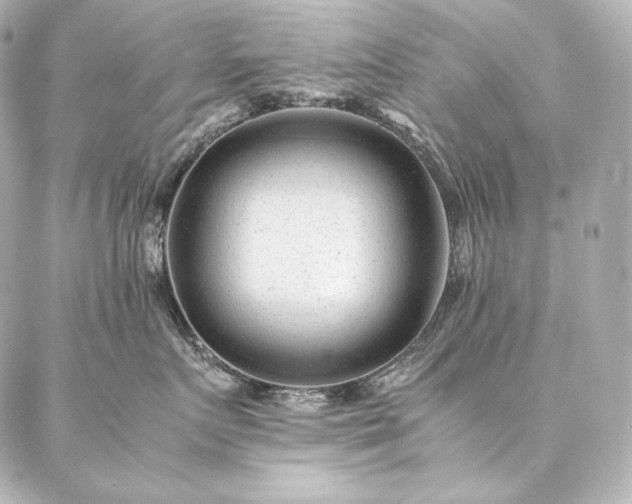 X0000086970719200704231515