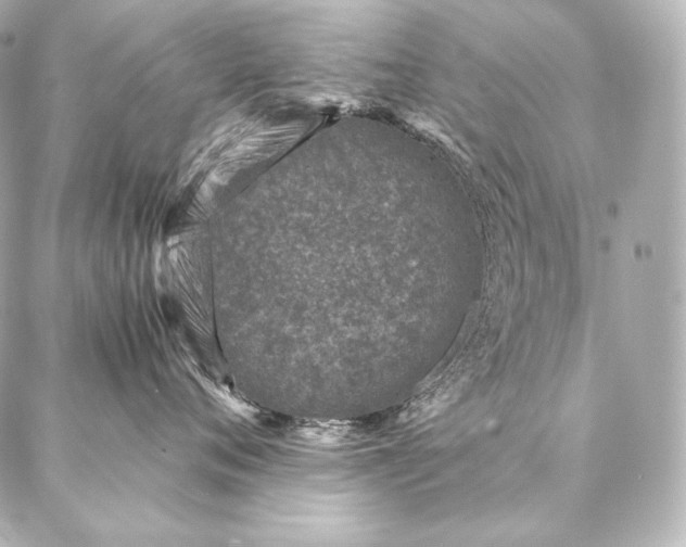 X0000086970720200704231515