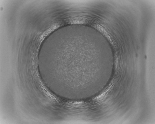 X0000086970721200704231515