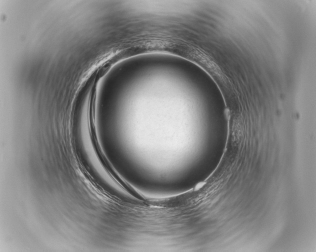 X0000086970722200704231515