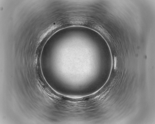 X0000086970723200704231515