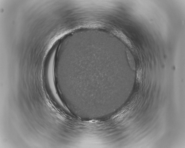 X0000086970724200704231515