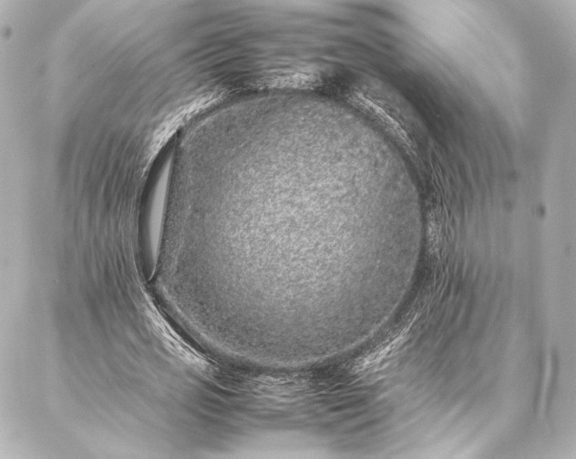 X0000086970725200704231515