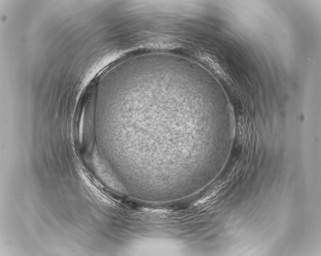 X0000086970726200704231515