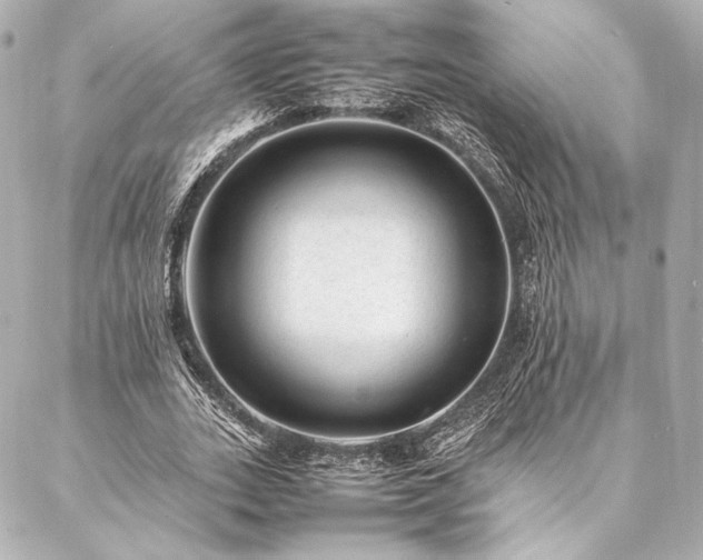 X0000086970727200704231515