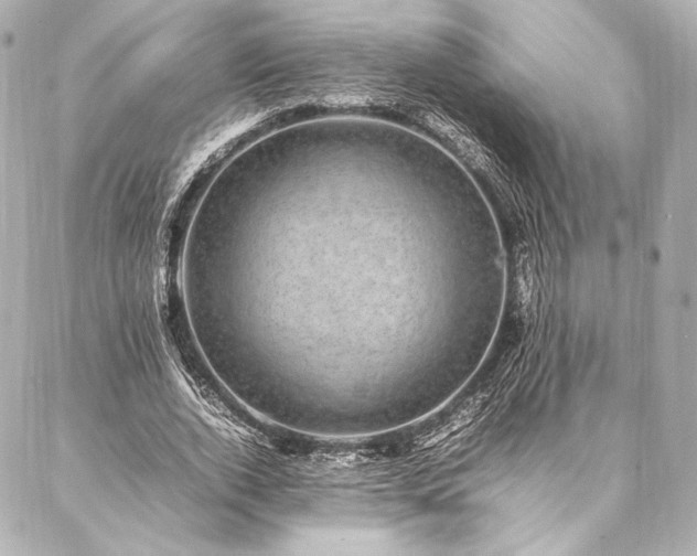 X0000086970728200704231515