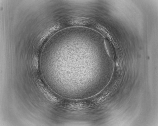 X0000086970729200704231515