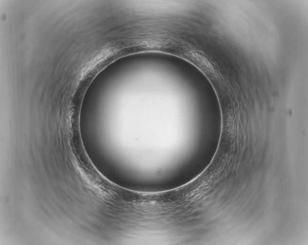 X0000086970730200704231515