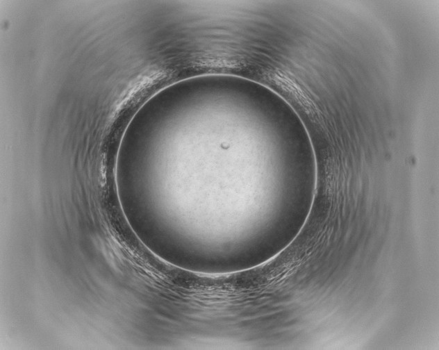 X0000086970731200704231515