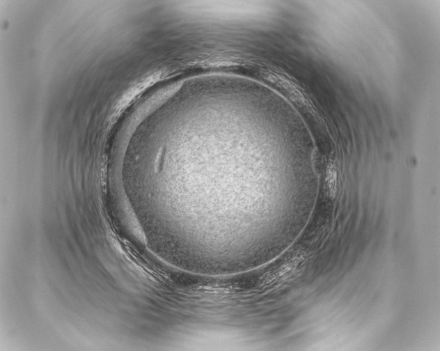 X0000086970732200704231515