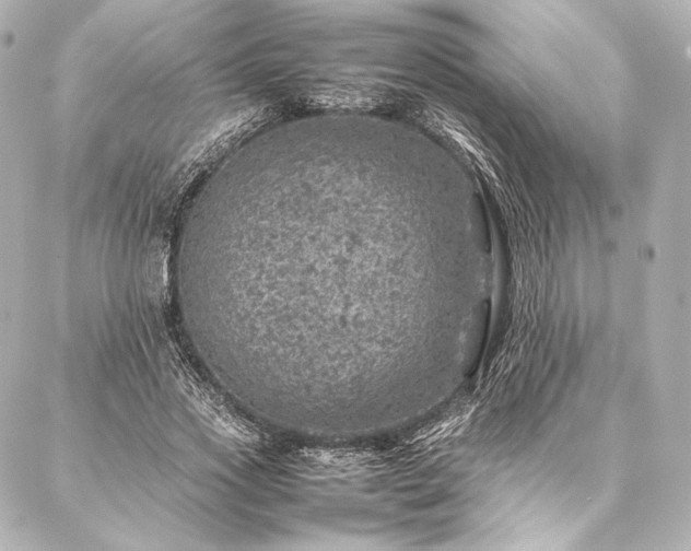 X0000086970733200704231515