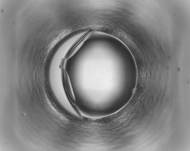 X0000086970734200704231515