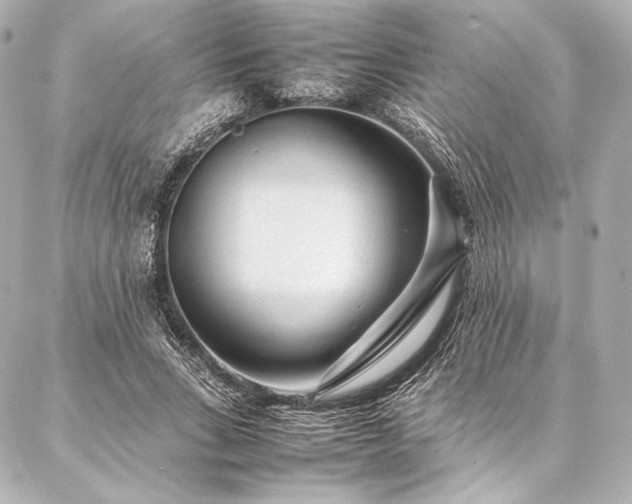 X0000086970735200704231515