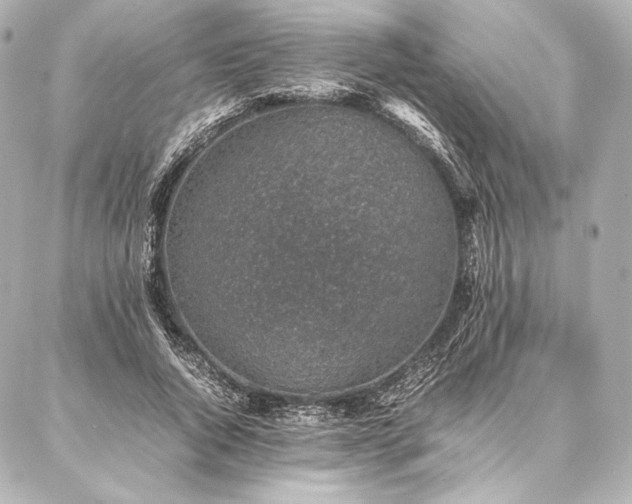 X0000086970736200704231515