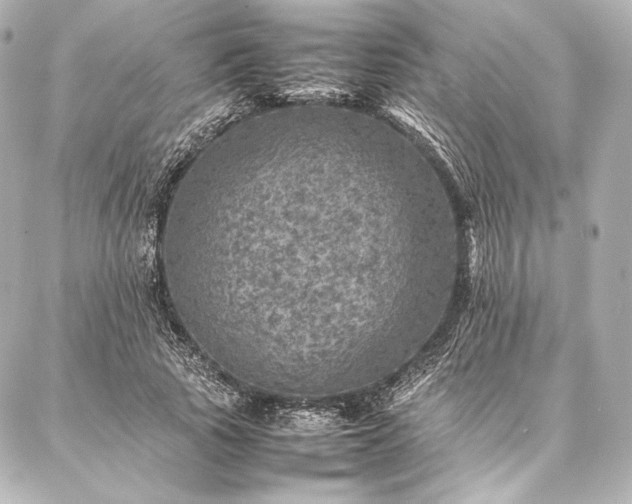 X0000086970737200704231515