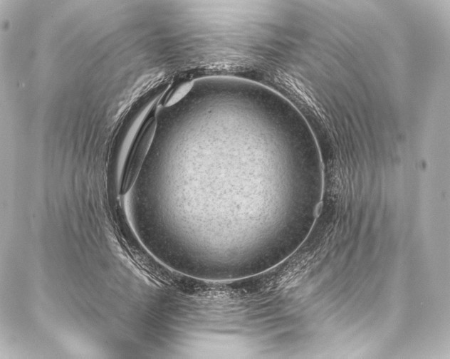 X0000086970738200704231515