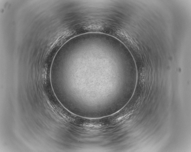 X0000086970739200704231515