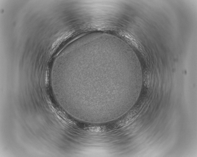 X0000086970740200704231515