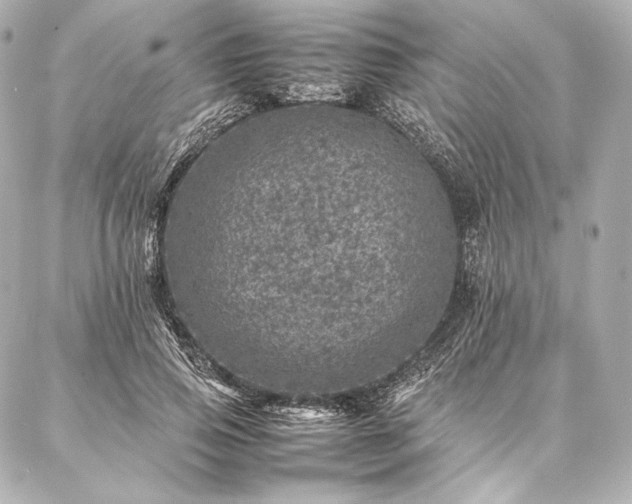 X0000086970741200704231515