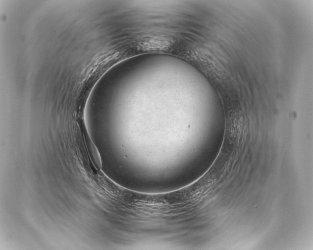 X0000086970743200704231515