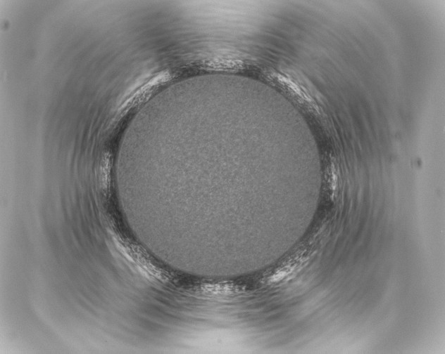 X0000086970744200704231515