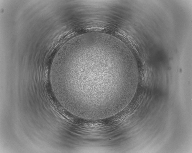 X0000086970745200704231515