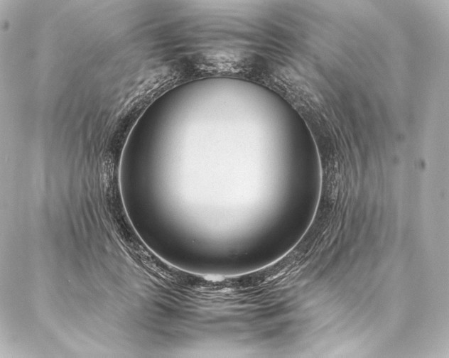 X0000086970747200704231515