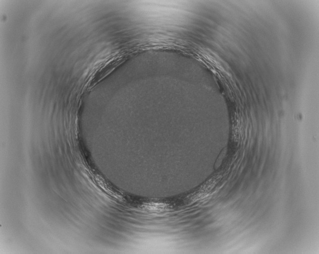 X0000086970748200704231515