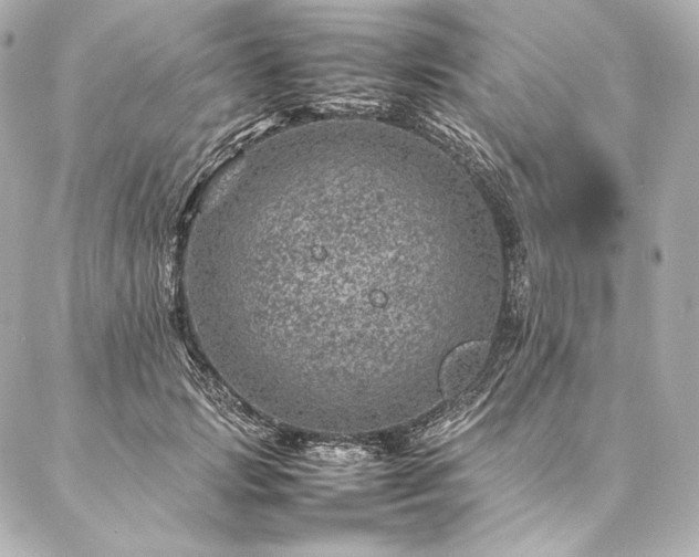 X0000086970749200704231515