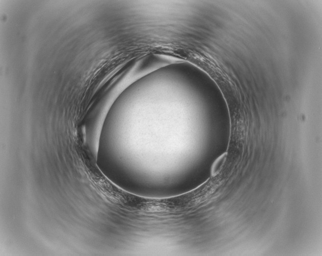 X0000086970750200704231515