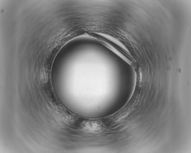 X0000086970751200704231515