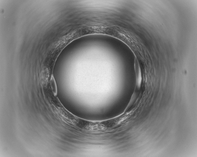 X0000086970752200704231515