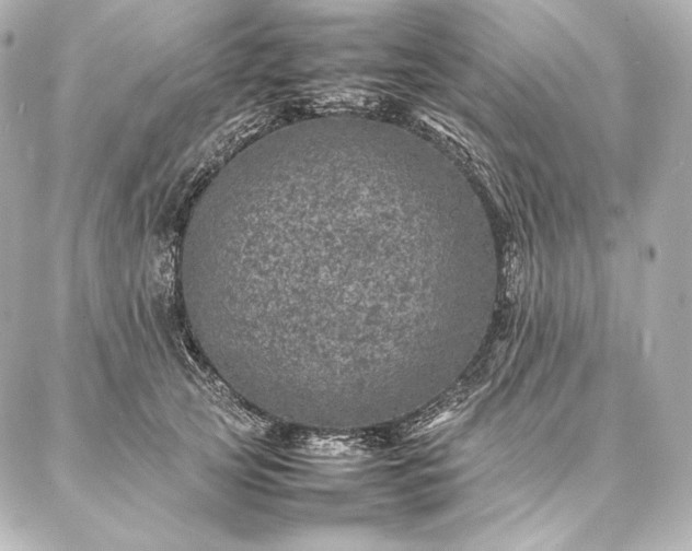 X0000086970753200704231515