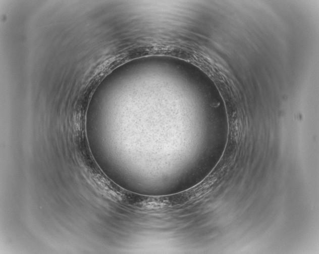 X0000086970756200704231515