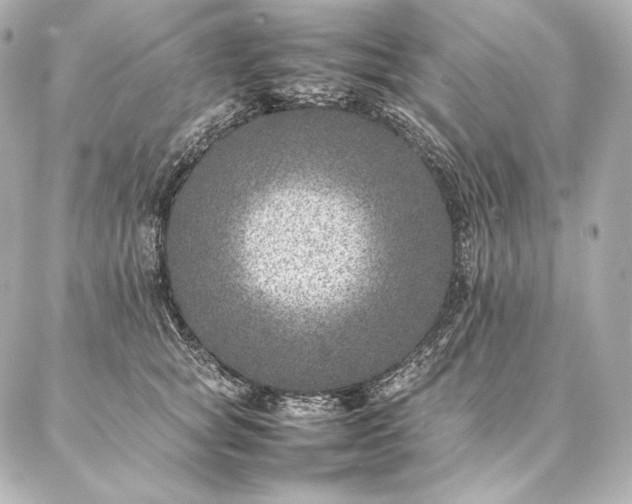 X0000086970757200704231515